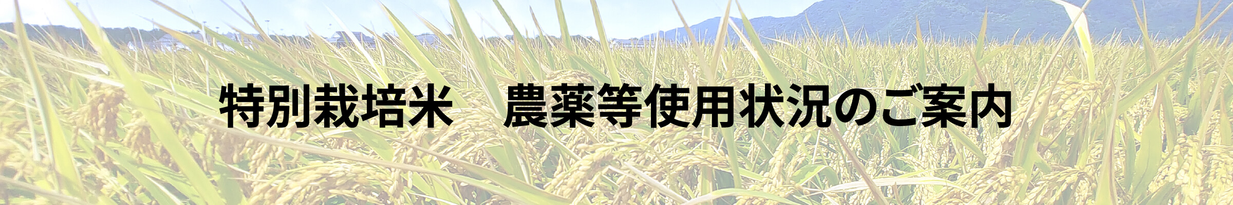 特別栽培米　農薬等使用状況のご案内